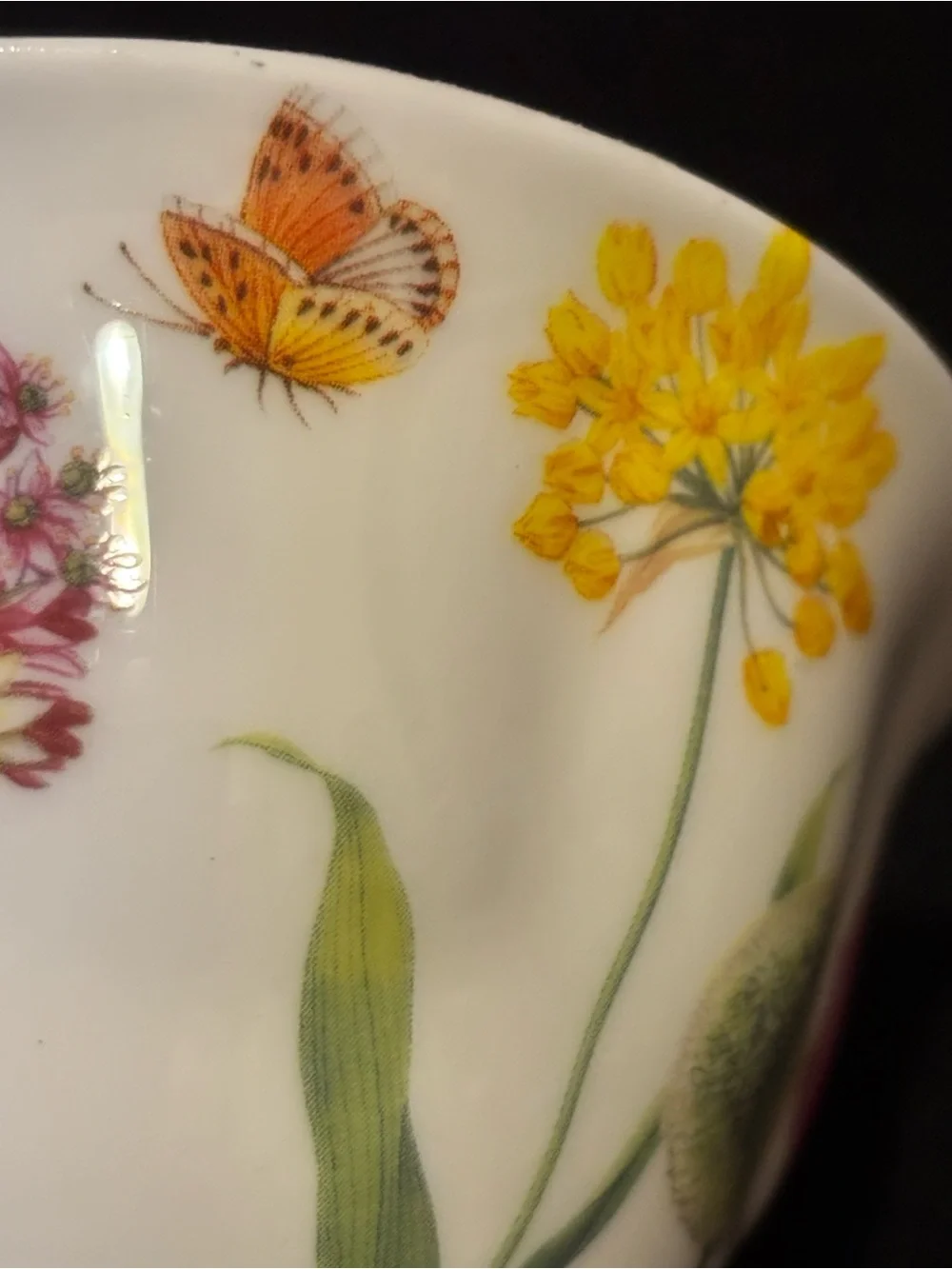 Stechol Bone China Snowball Teacup and Saucer Floral Design
